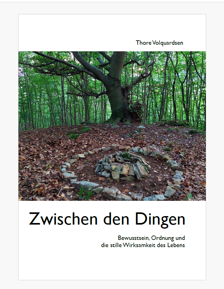 Thore Volquardsen: Zwischen den Dingen -
Bewusstsein, Ordnung und
die stille Wirksamkeit des Lebens